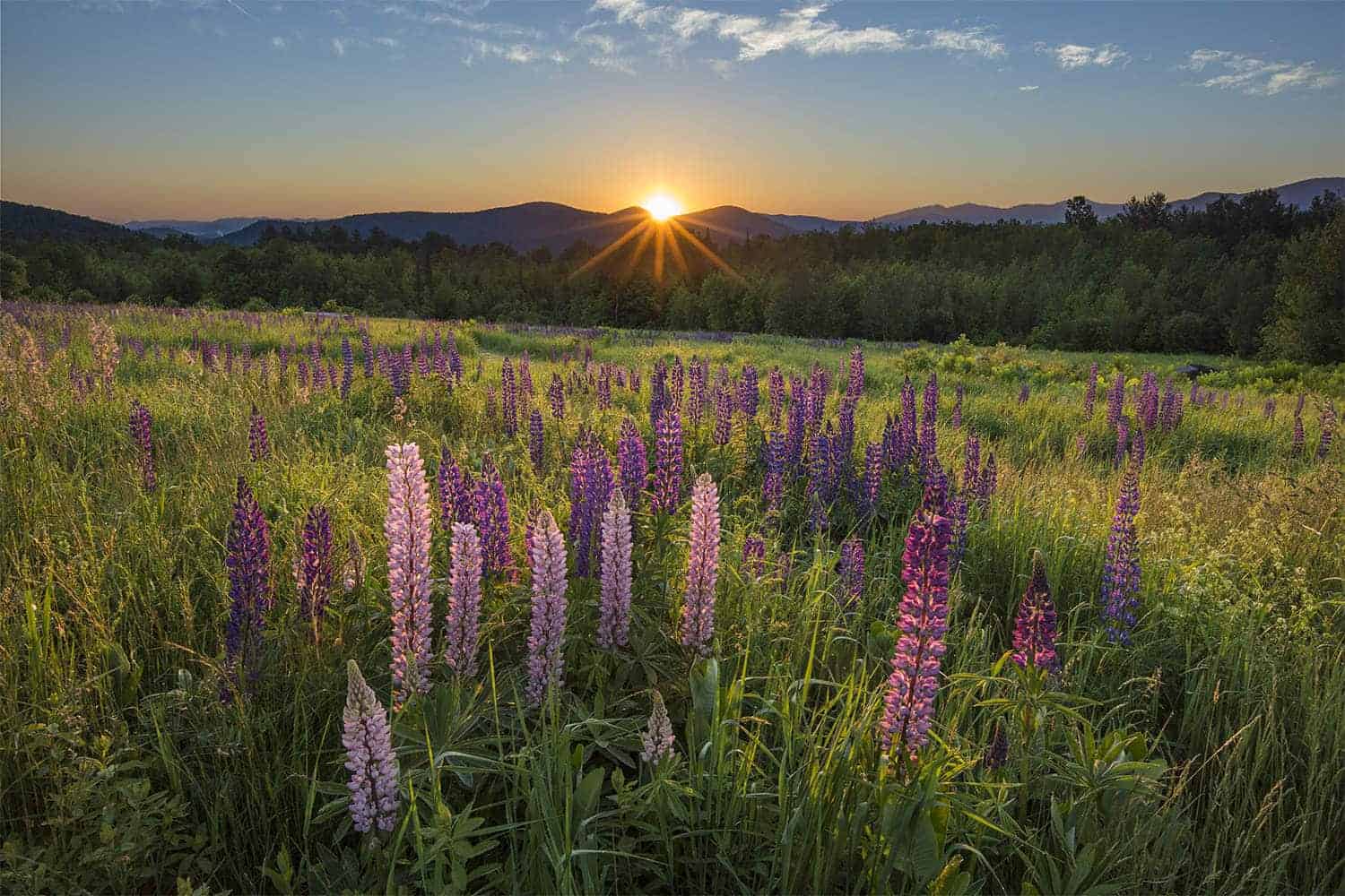 Sunrise View
