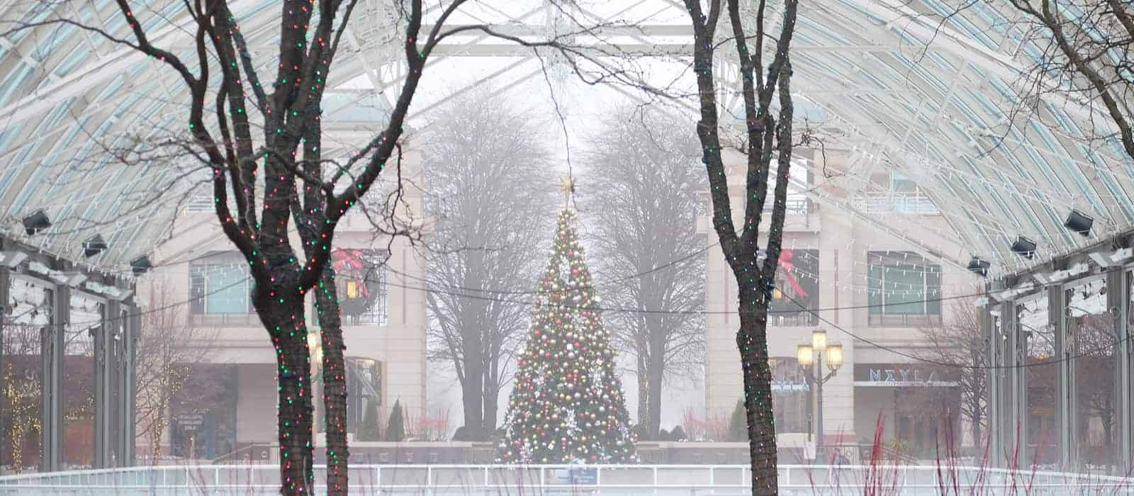 Reston Town Center at Christmastime