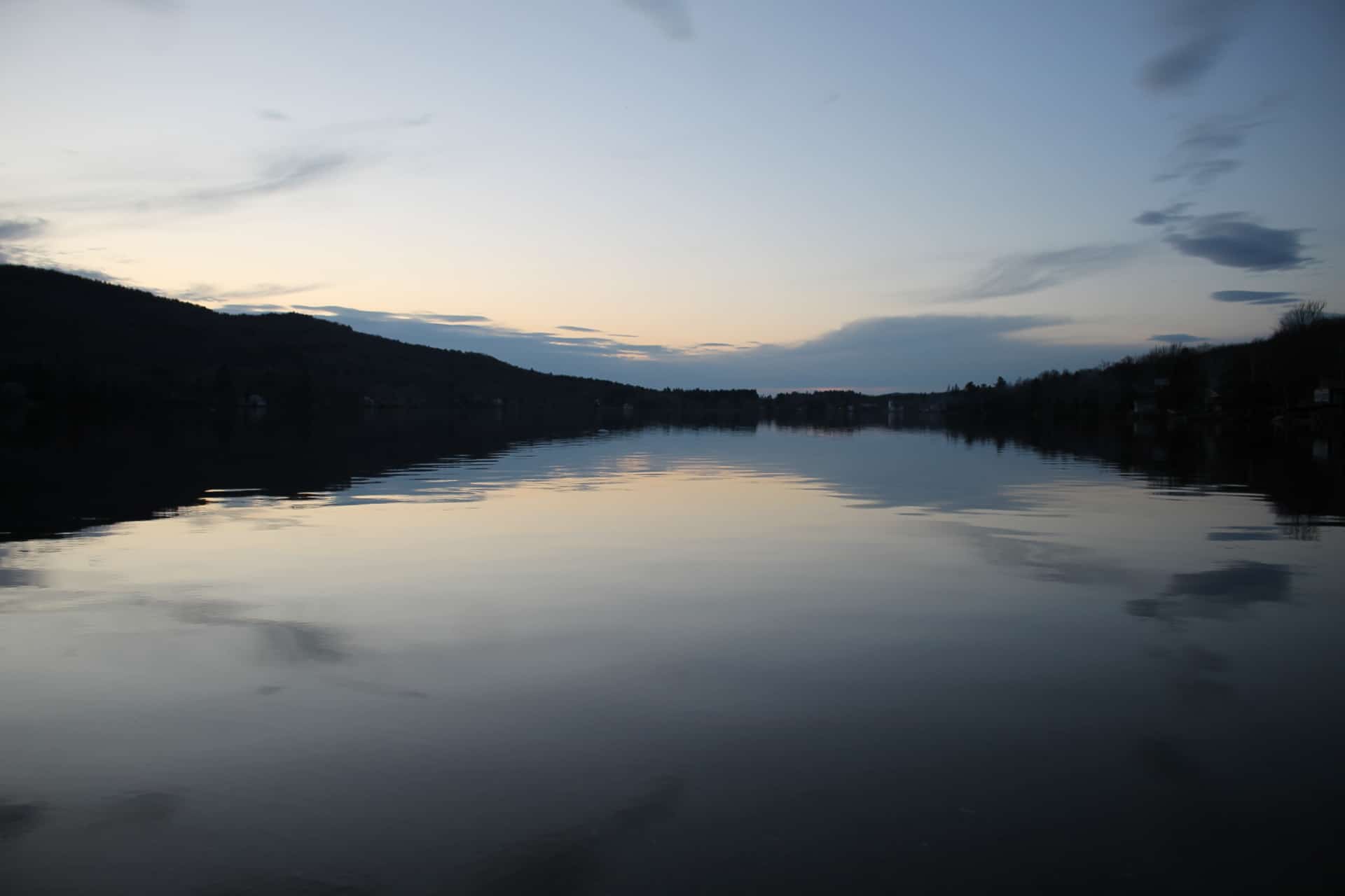 MSI Realty MSI Real Estate