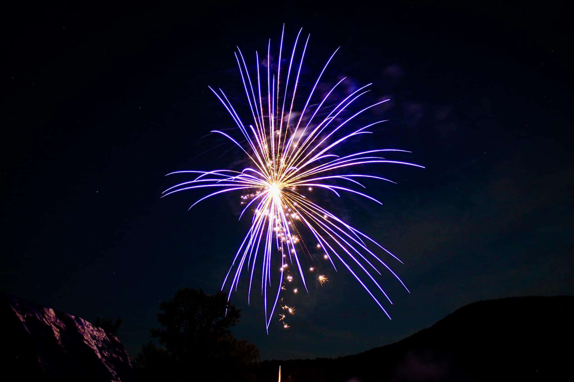 MSI Realty MSI Real Estate