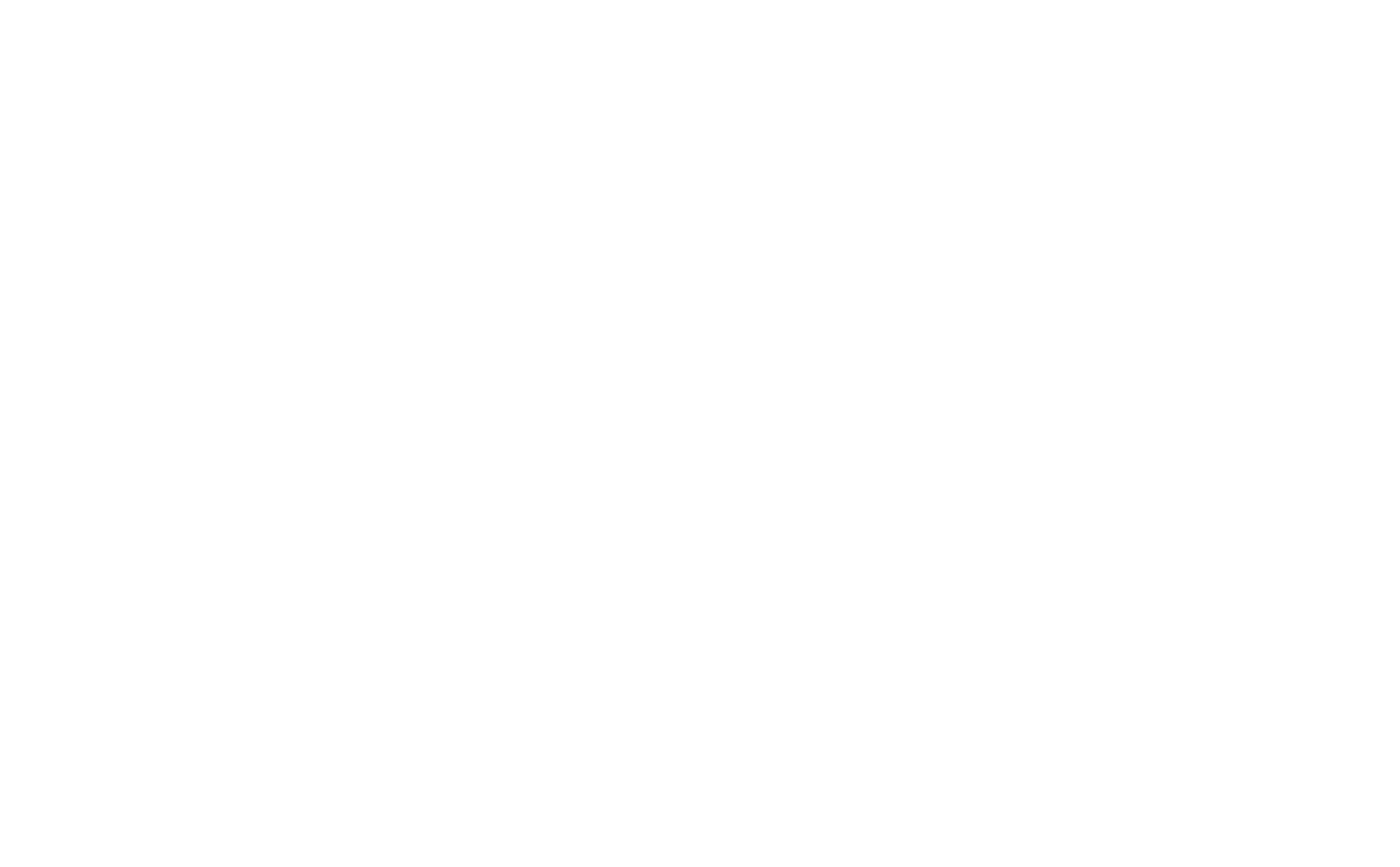 Carly Chasse logo