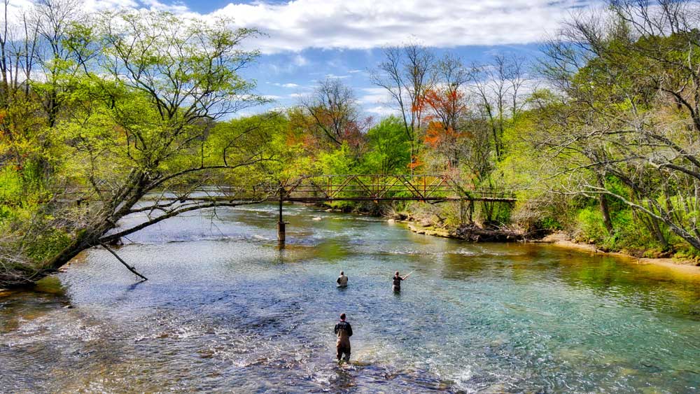 Fishing in a River in Northern Georgia