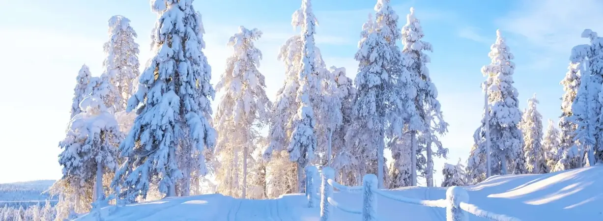 Winter