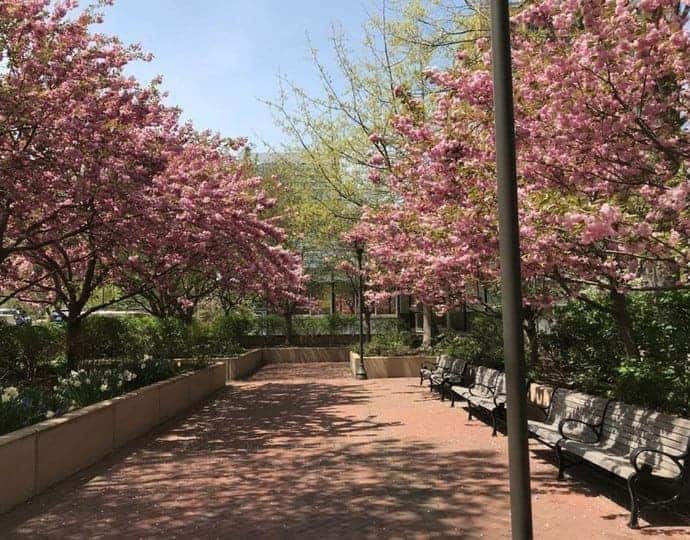 Hawthorne Place Condos Boston MA - Hawthorne Place