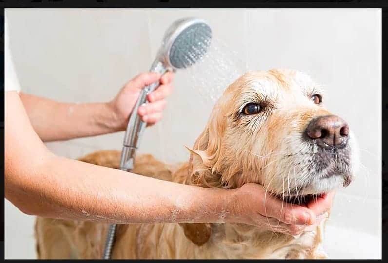 Port45 Boston MA - Photo 7