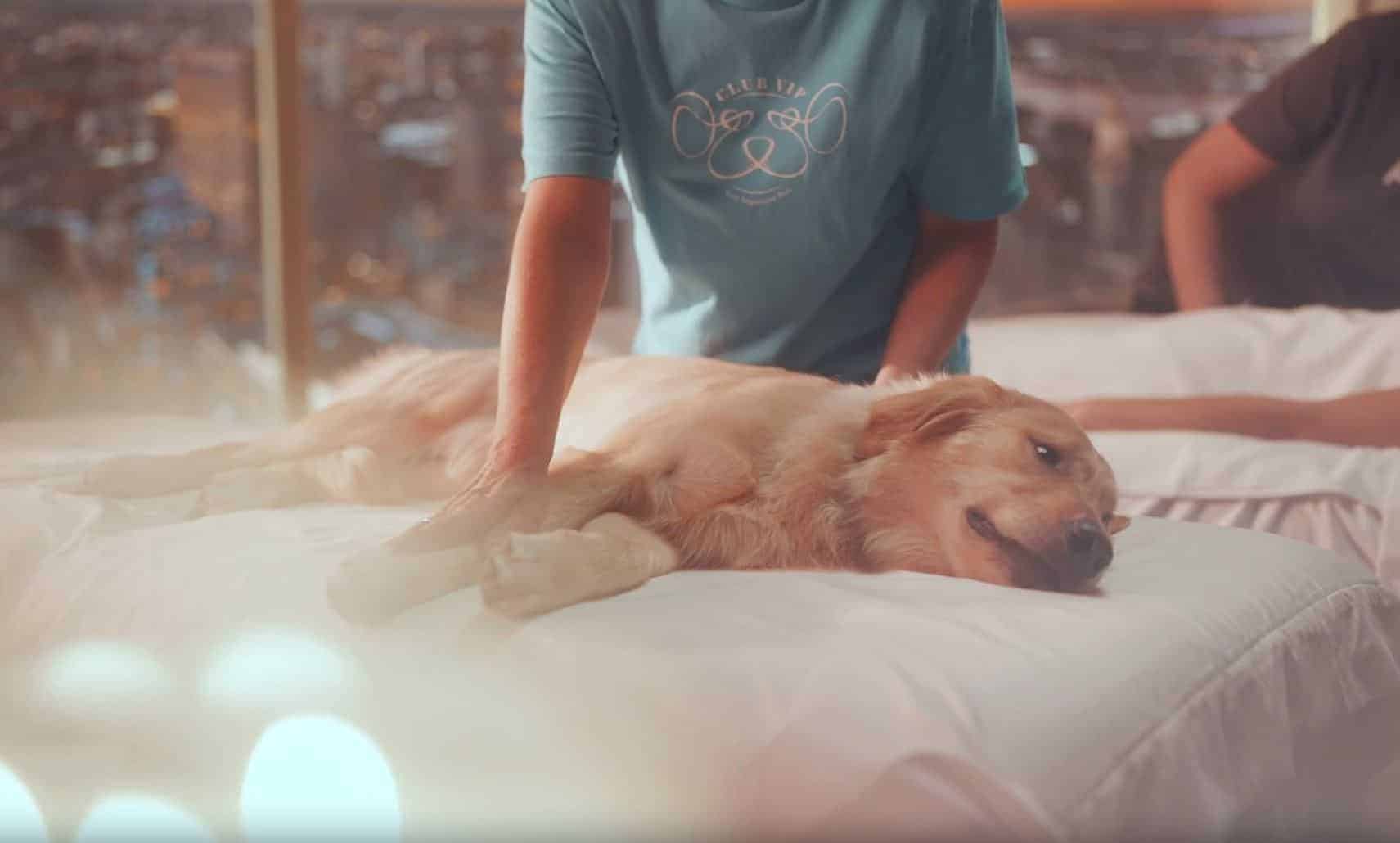 Club VIP Pet Spa at The Winthrop Center Residences