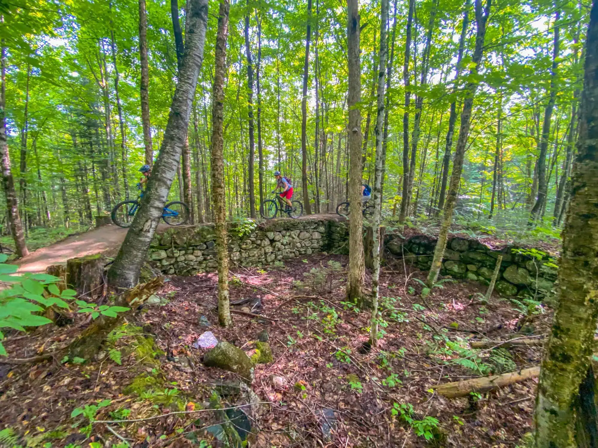 biking on kingdom trails