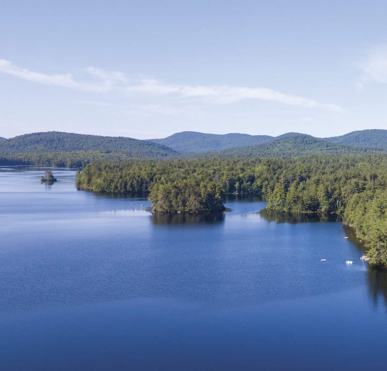 Beautiful view of lake and forest
