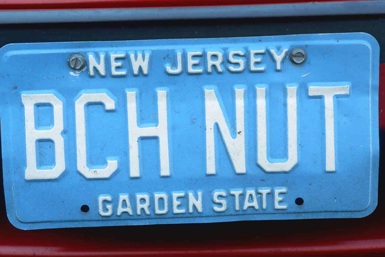 Beach Nut