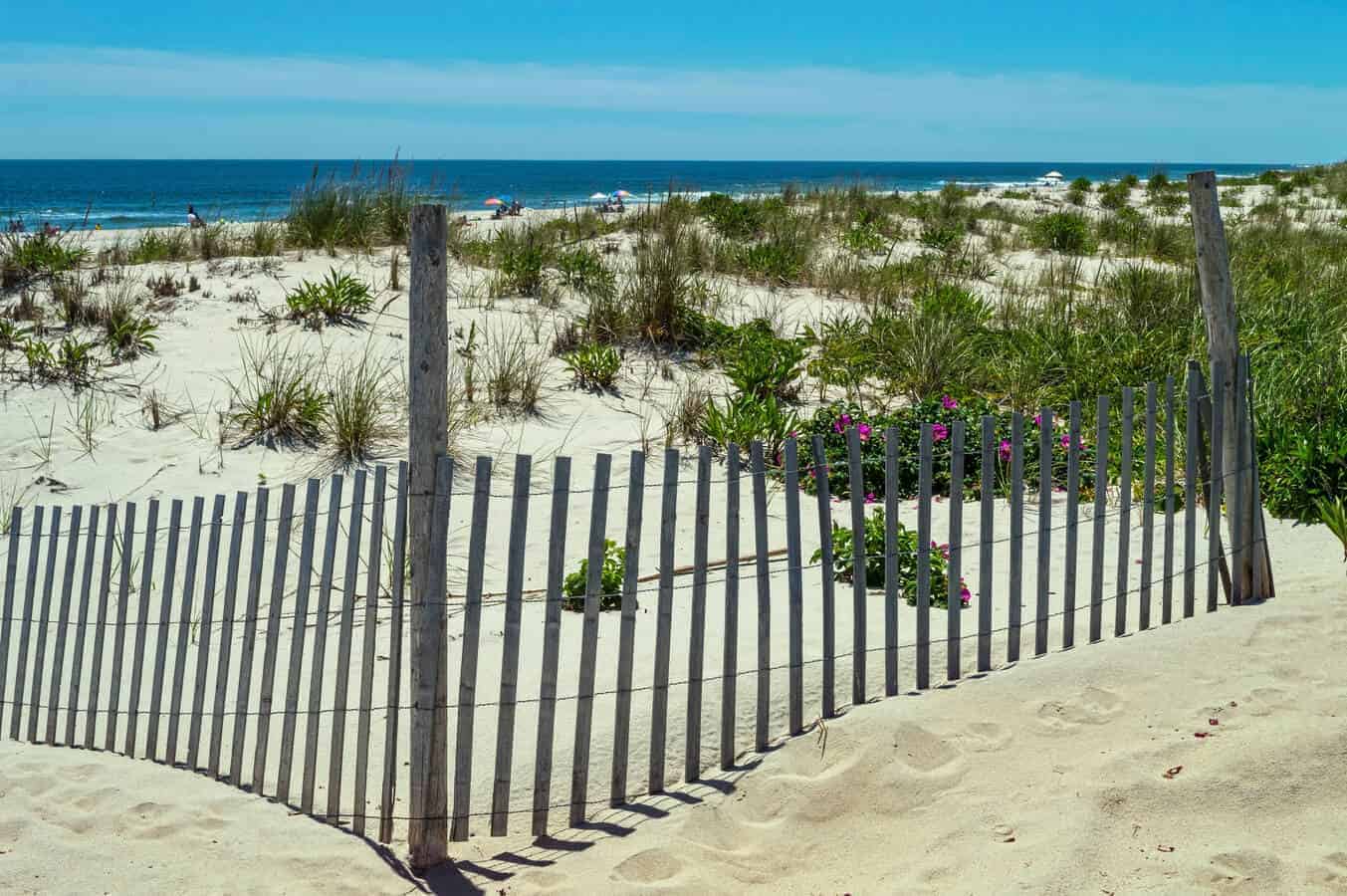 Beautiful dune and beach