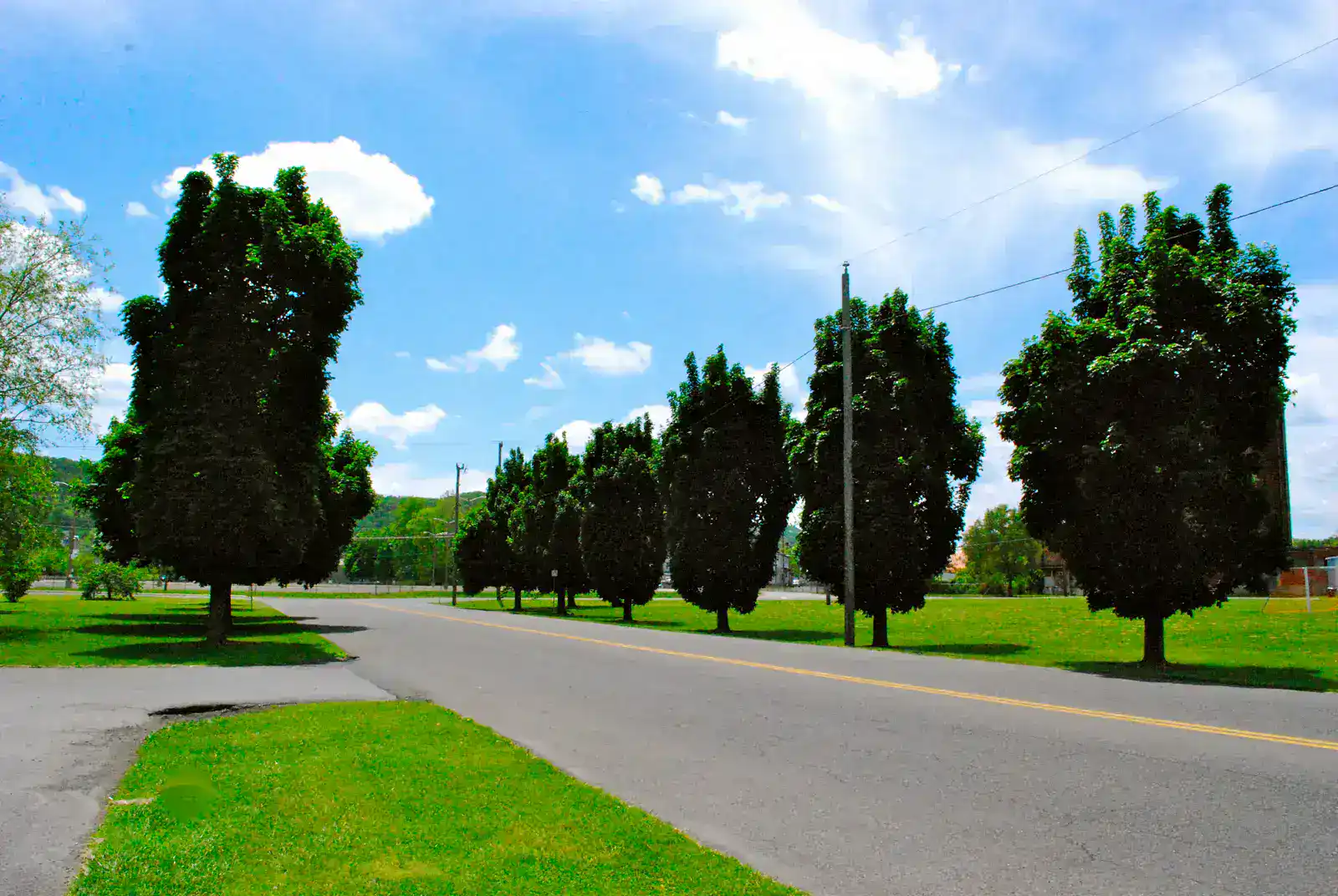 City view