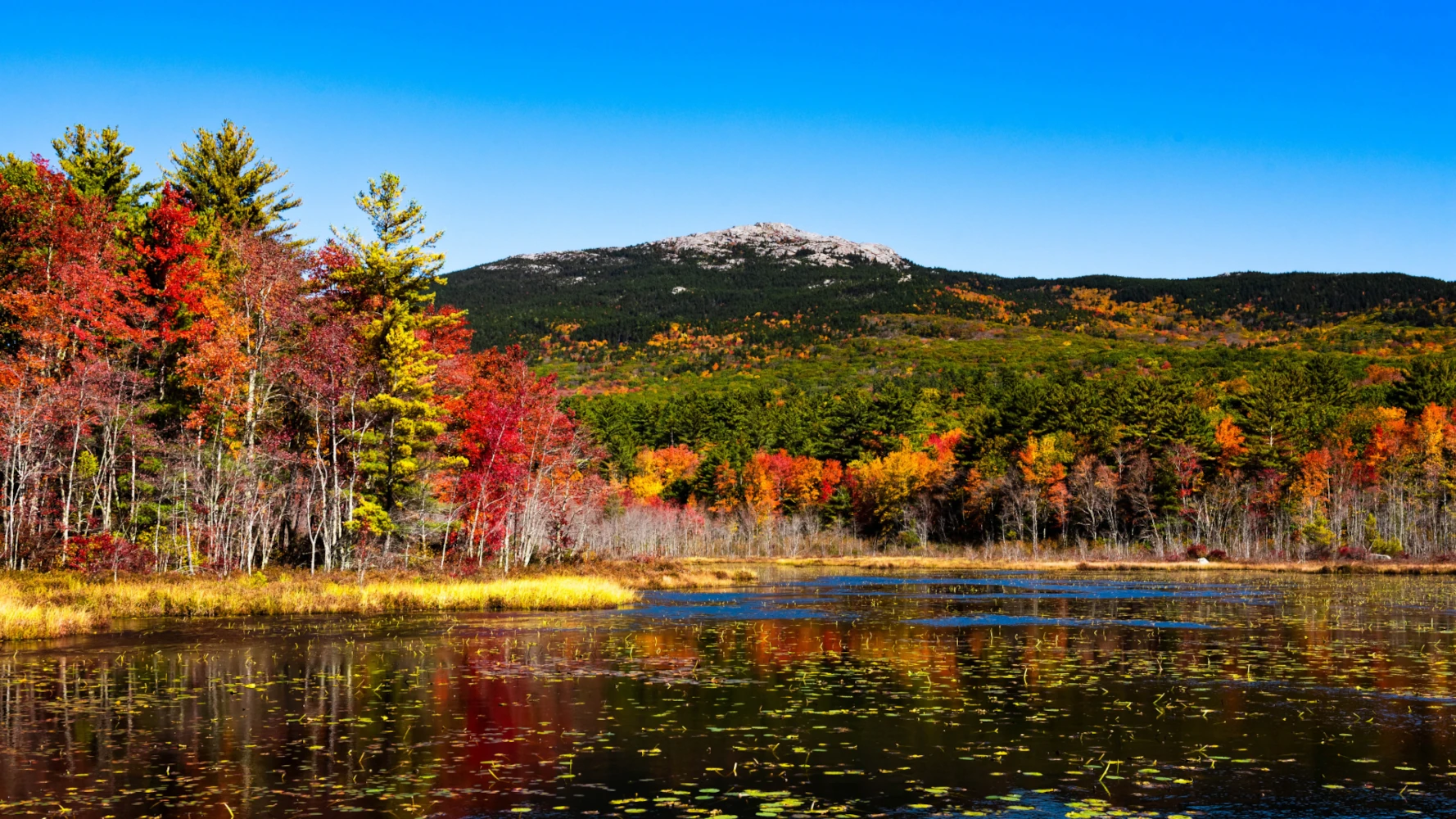 Monadnock