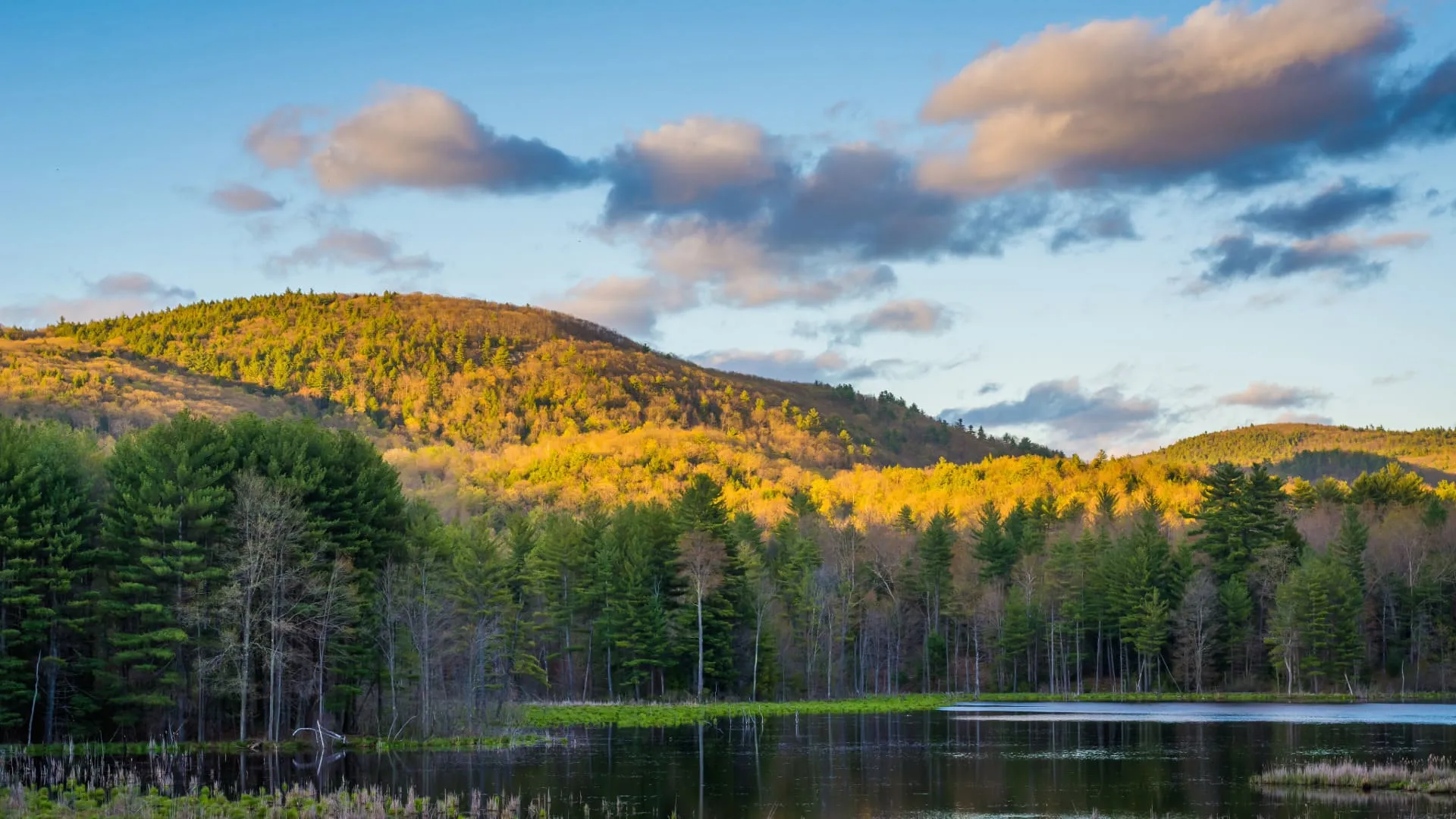 Brattleboro
