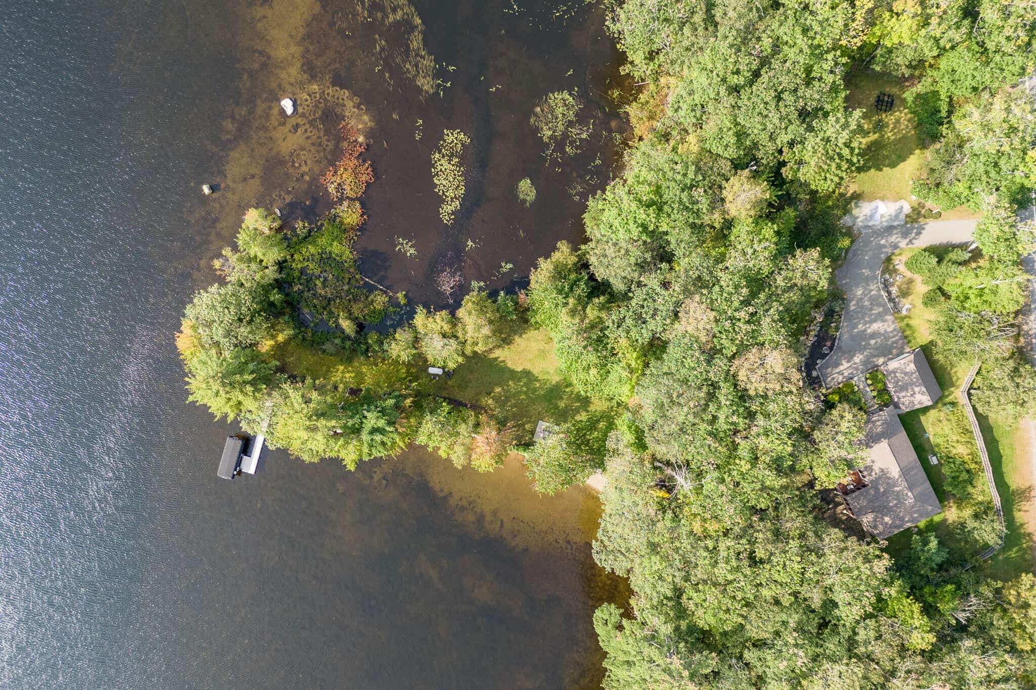 Lake view