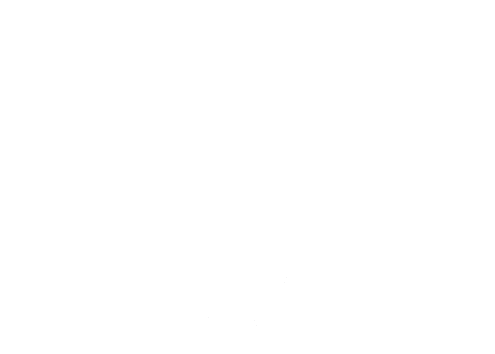 tbt white logo