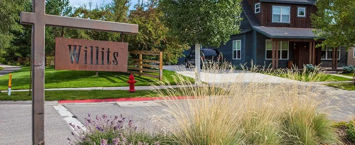 Willits view