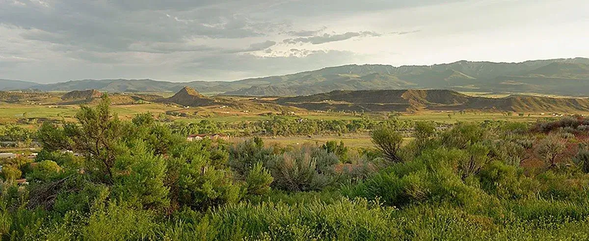 Silt view