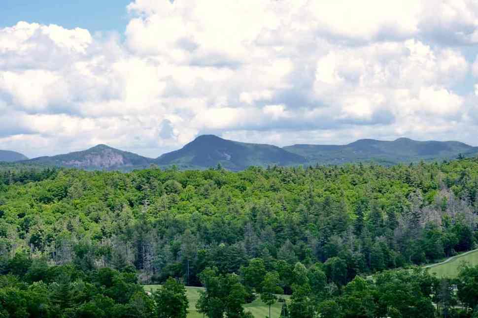 Old Edwards Club at Highlands Cove Old Edwards Club Real Estate