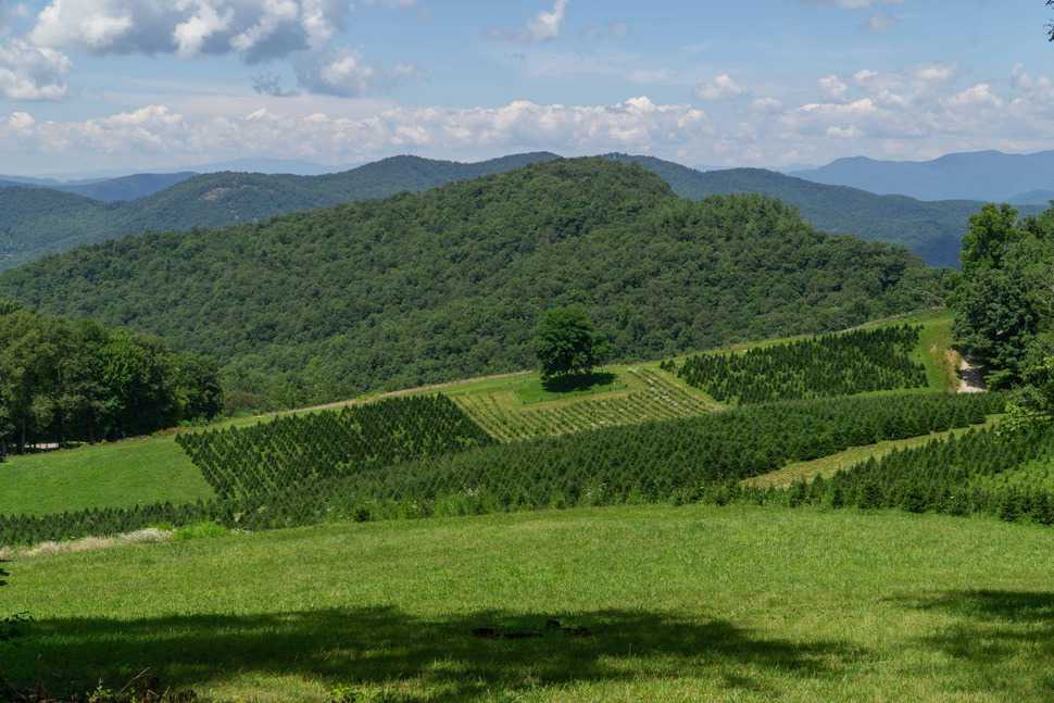 Pilots Knob Glenville NC Pilots Knob Real Estate & Homes