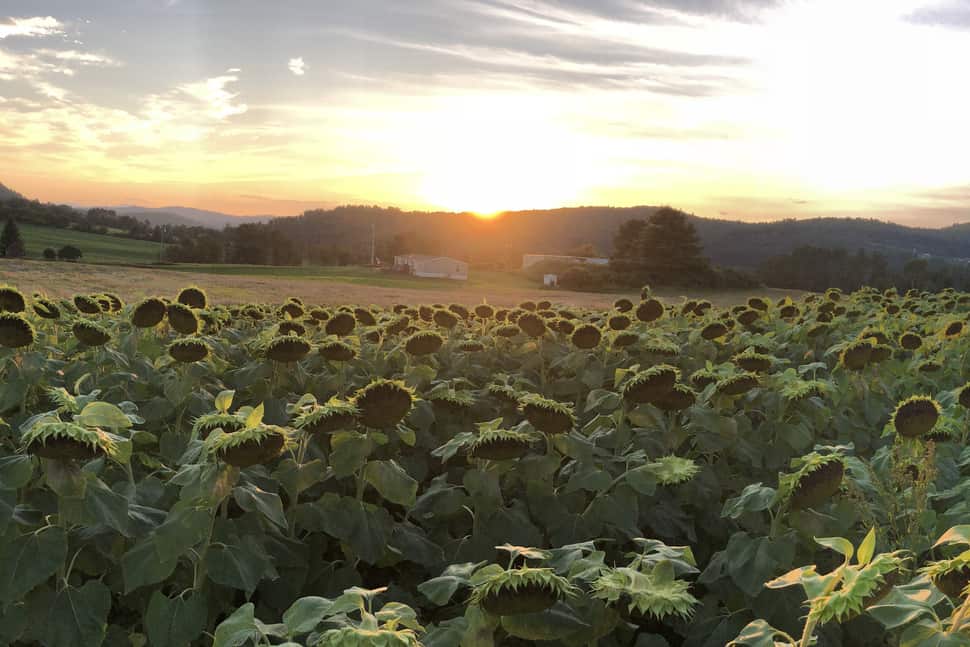 Northeast Kingdom Real Estate, Vermont VT Realtors Begin Realty