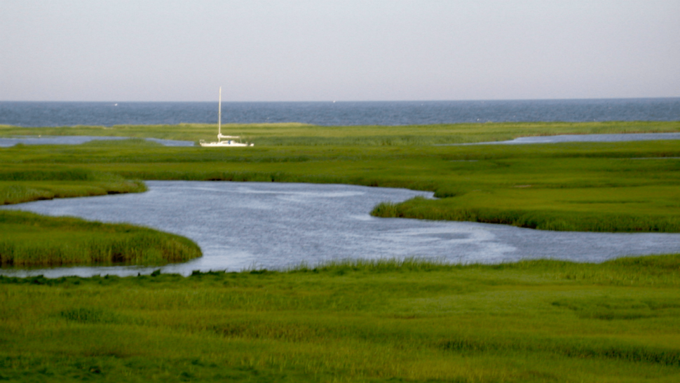 Orleans MA Real Estate Cape Cod Homes for Sale Cape Cod