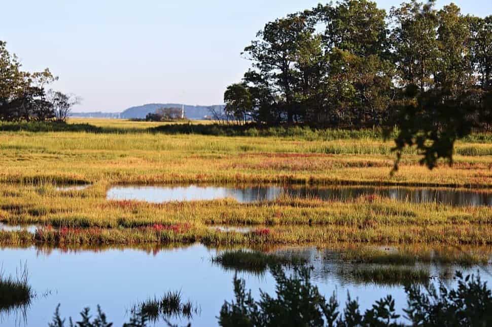 Search Real Estate Listings Rowley Realty, LLC.