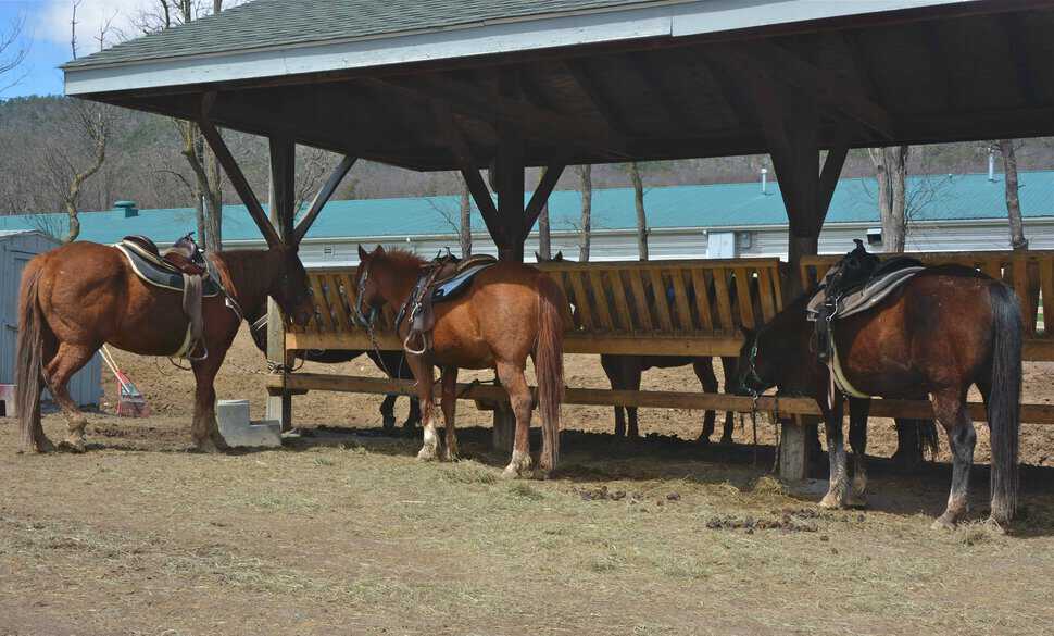 Massanutten Resort Funkhouser Real Estate Group Shenandoah Valley