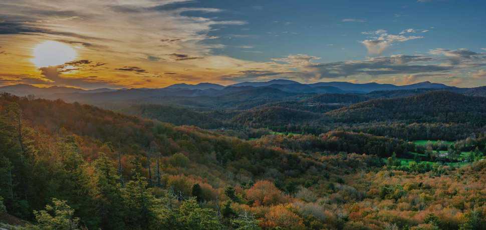 North Carolina Real Estate | Giving Tree Realty