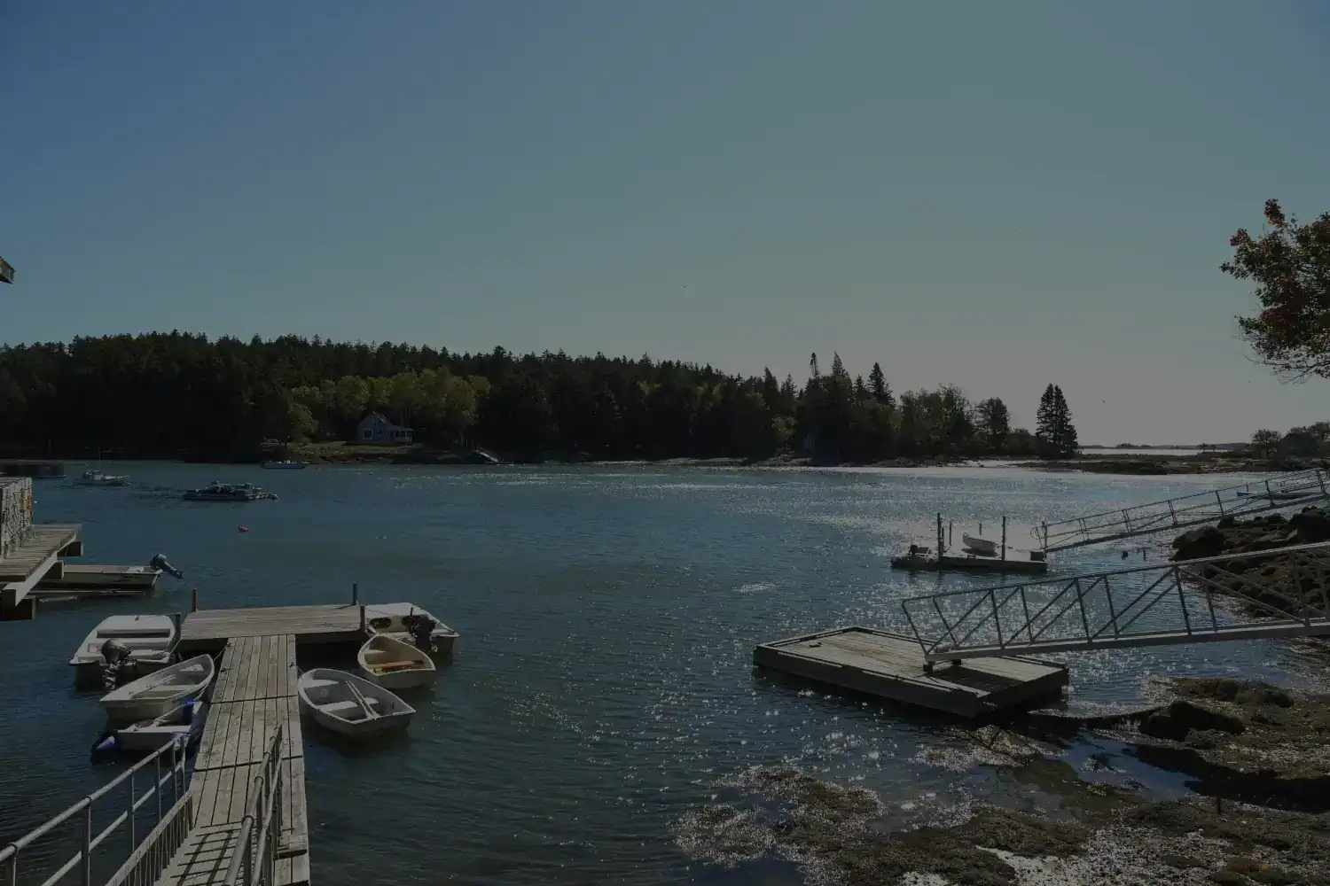 Lake view