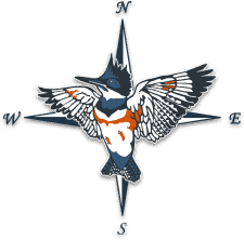 Kingfisher company logo