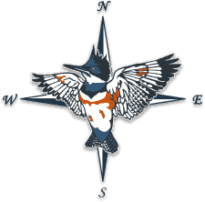 Kingfisher company logo