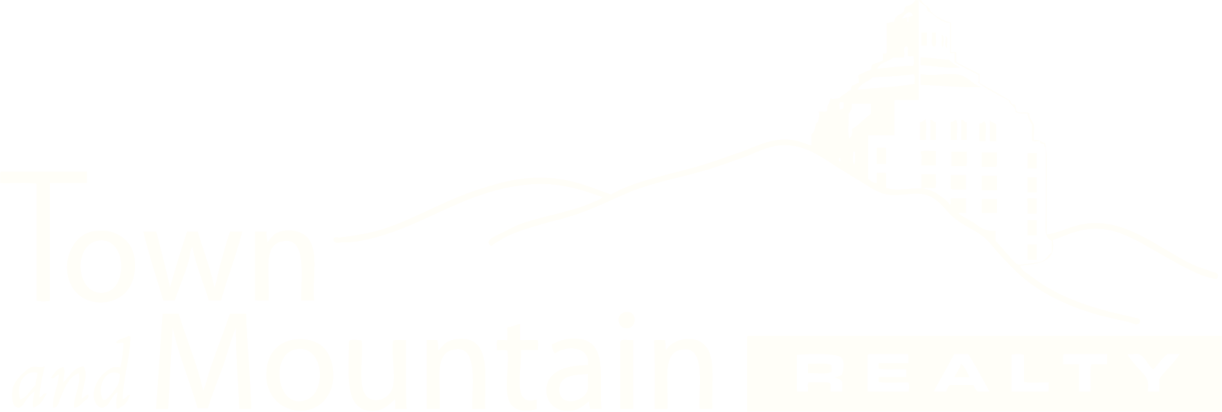 town and mountain realty logo